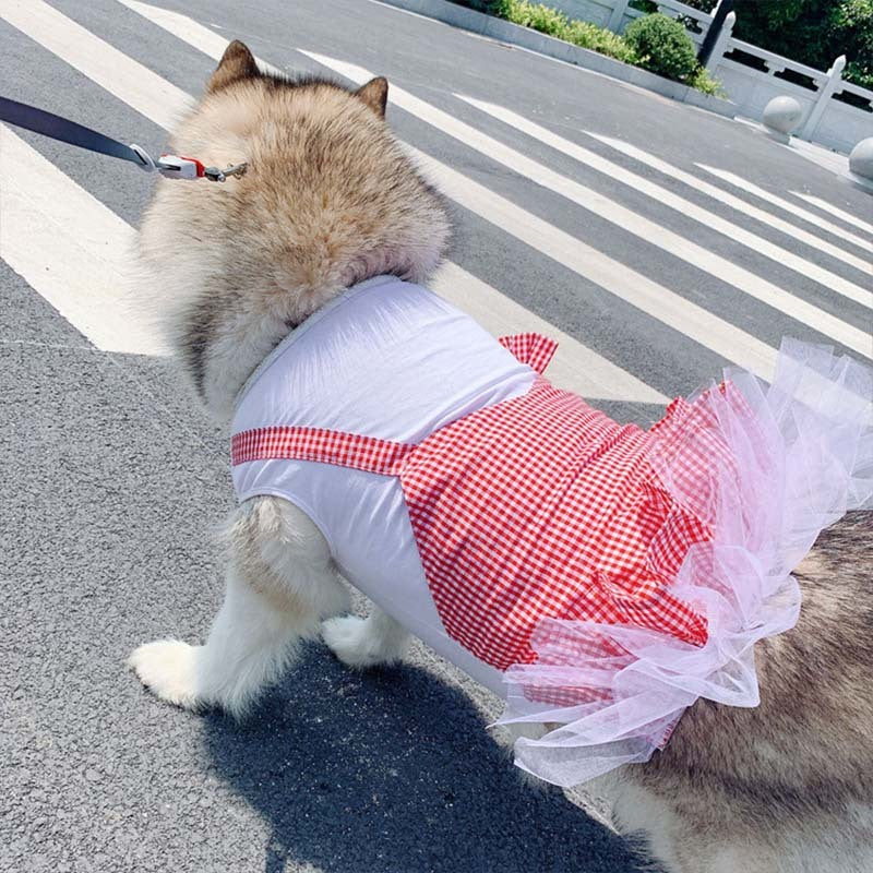 Labrador Golden Retriever Dog Clothes
