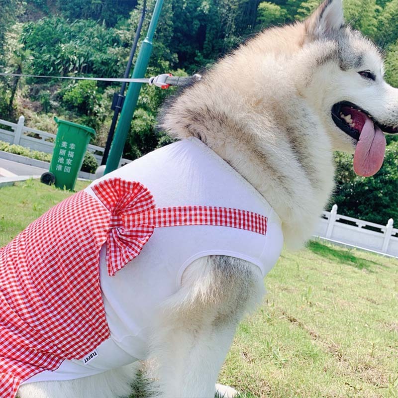Labrador Golden Retriever Dog Clothes