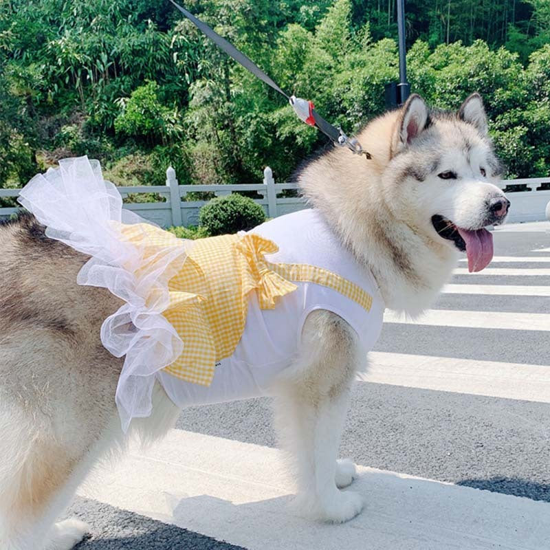 Labrador Golden Retriever Dog Clothes