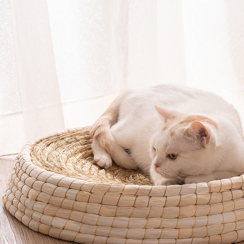 Teng Wok Felt Portable House Cat Bed
