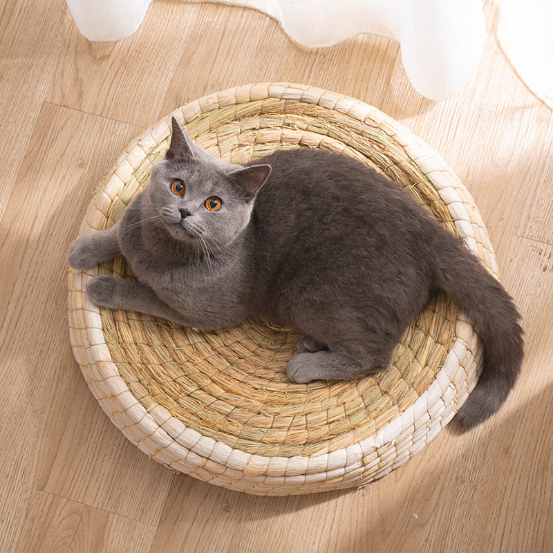 Teng Wok Felt Portable House Cat Bed