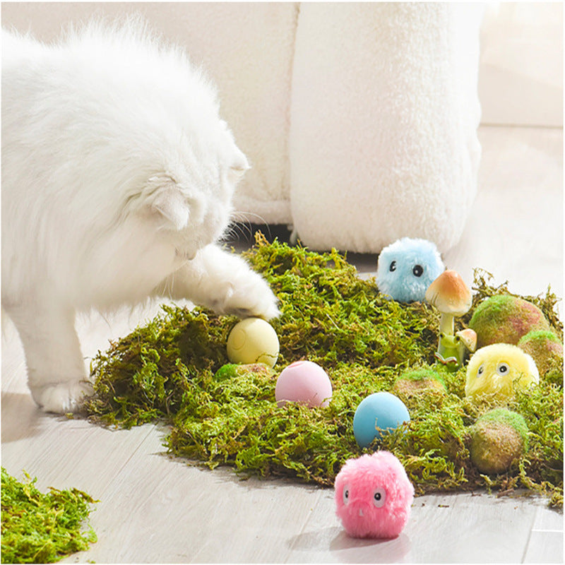 Cat Teasing Ball Catnip Pet Products