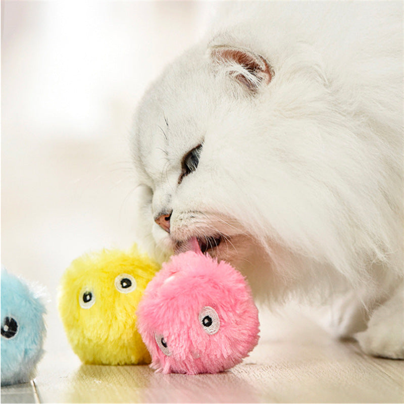 Cat Teasing Ball Catnip Pet Products