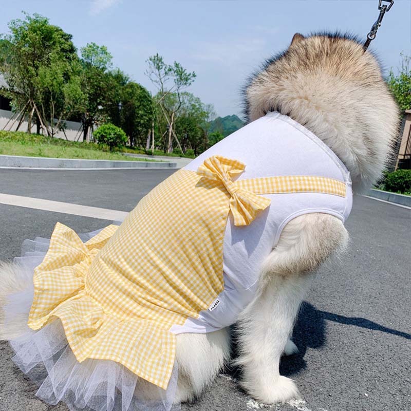 Labrador Golden Retriever Dog Clothes
