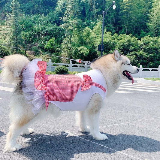 Labrador Golden Retriever Dog Clothes